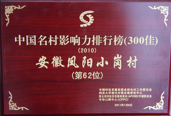 2010年中国名村影响力排行榜名列第62位.jpg