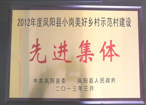 2013年3月荣获凤阳小岗美好乡村示范村建设先进集体.jpg