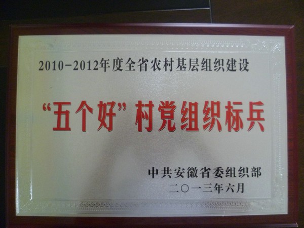 2013年6月获2010-2012年度全省农村基层组织建设“五个好”村党组织标兵.jpg