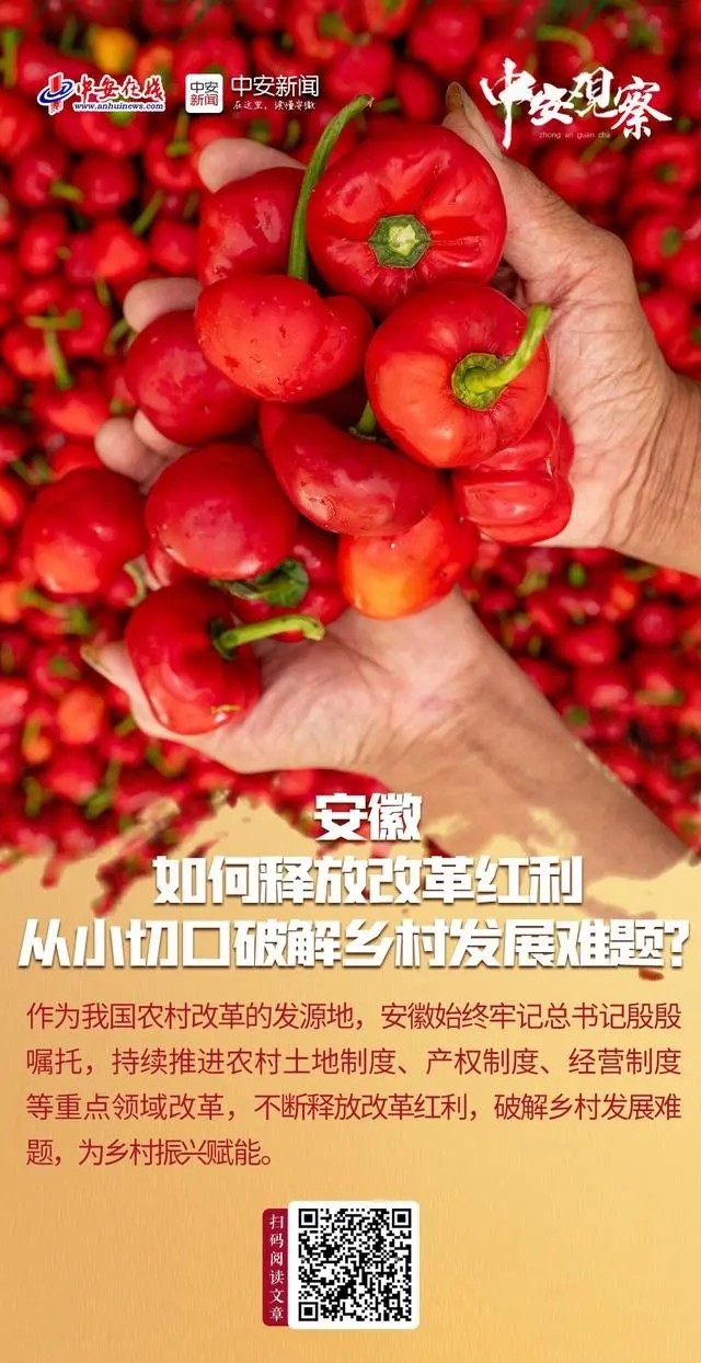 d8d86b232275ac7b0a5265fdaf568ab.png