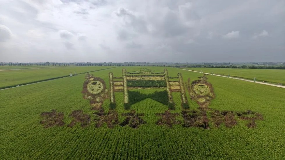 640_看图王.web.jpg