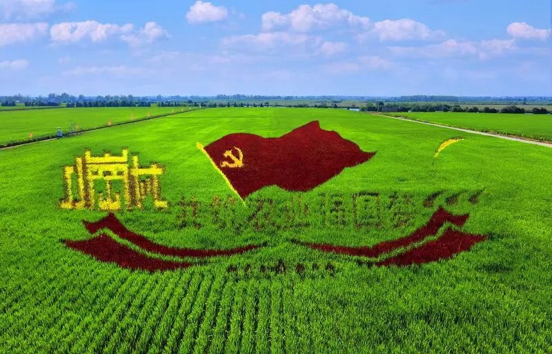 3_看图王.jpg